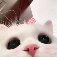 🇹🇼Mina🌸仙女妍妍兒🧚🏻‍♀️